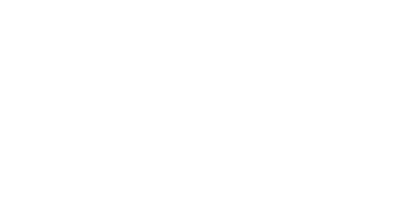 Stegemoller Fencing